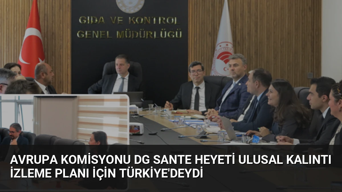 Avrupa Komisyonu DG SANTE Heyeti Ulusal Kalıntı İzleme Planı İçin Türkiye’deydi