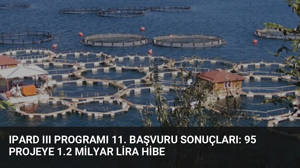 IPARD III Programı 11. Başvuru Sonuçları: 95 Projeye 1.2 Milyar Lira Hibe