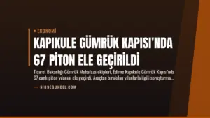 Kapıkule Gümrük Kapısı’nda 67 Piton Ele Geçirildi