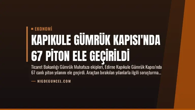 Kapıkule Gümrük Kapısı’nda 67 Piton Ele Geçirildi