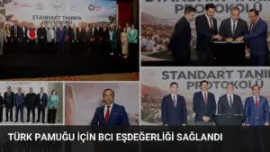 Türk Pamuğu İçin BCI Eşdeğerliği Sağlandı