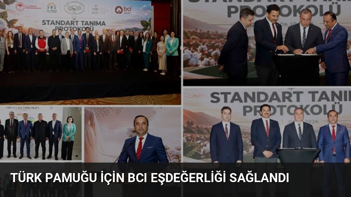 Türk Pamuğu İçin BCI Eşdeğerliği Sağlandı